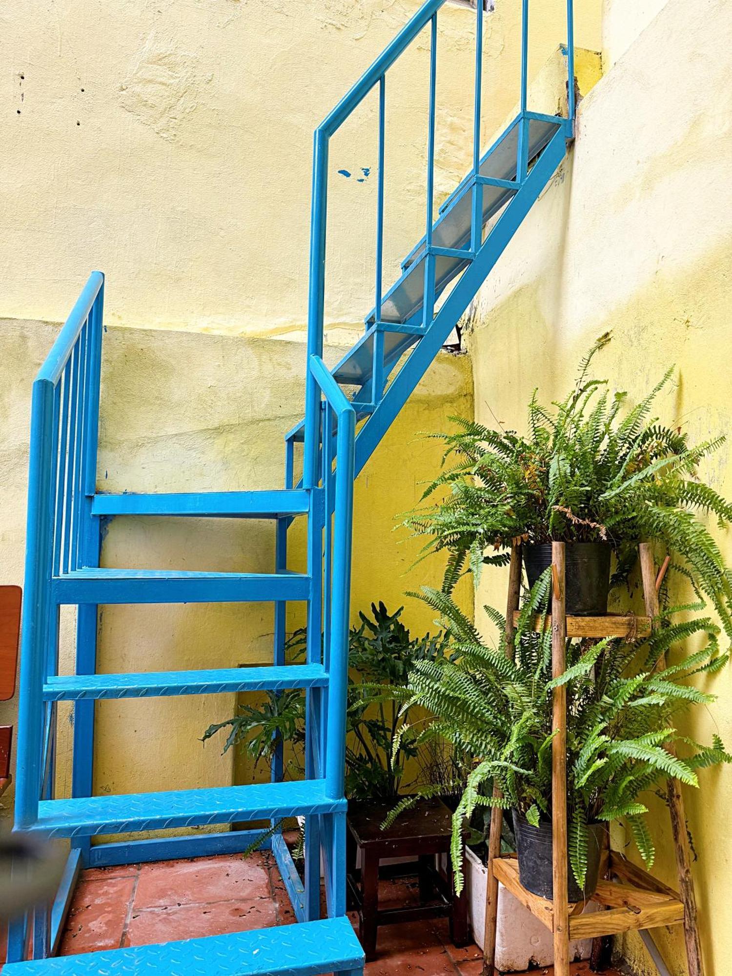 Homestay And Eggcoffee Central Hanoi Old Quarter ภายนอก รูปภาพ